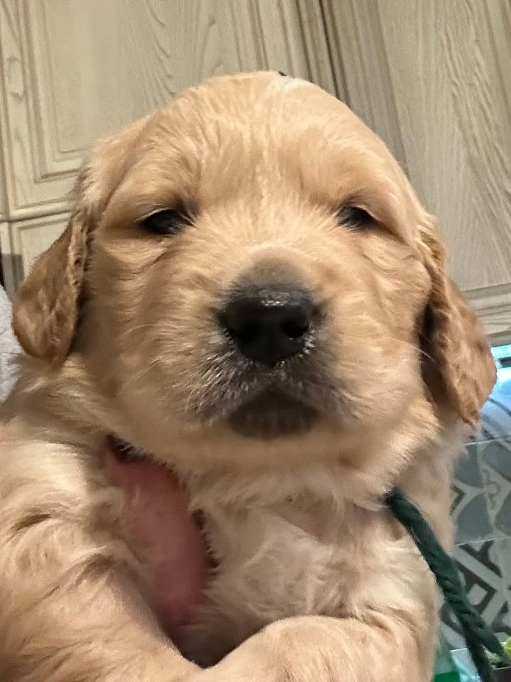 Siamo bellissimi!!!!!!