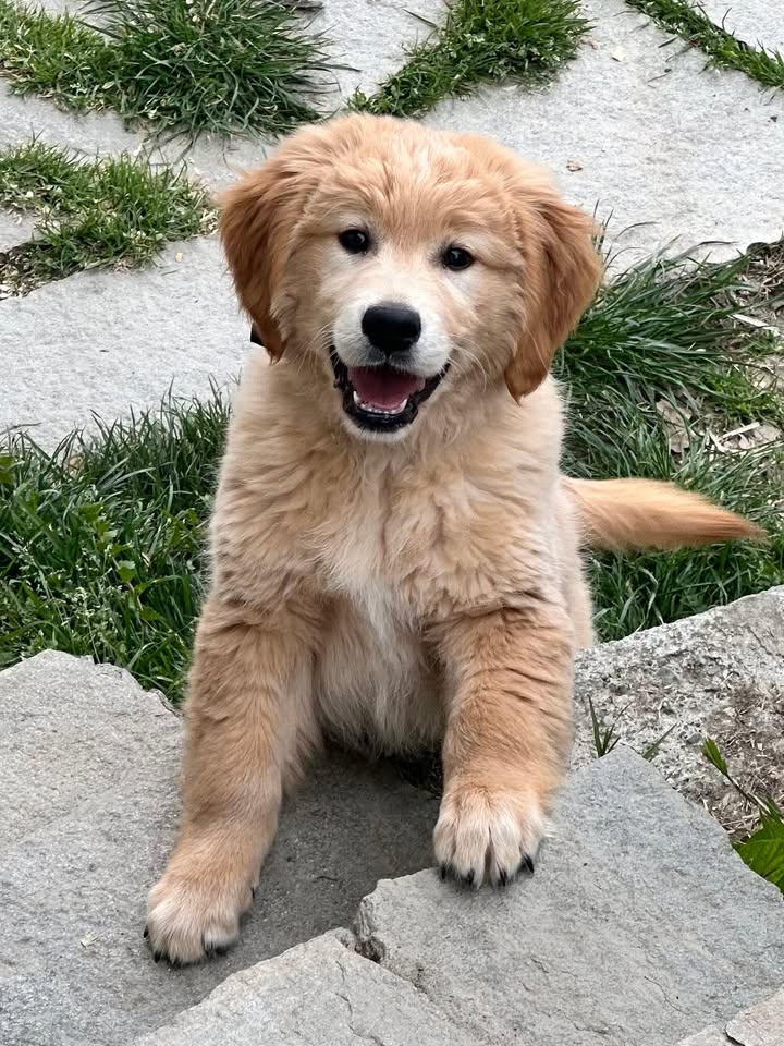 Quando uno e’ bello… e’ bello e non si può proprio dire il contrario❤️