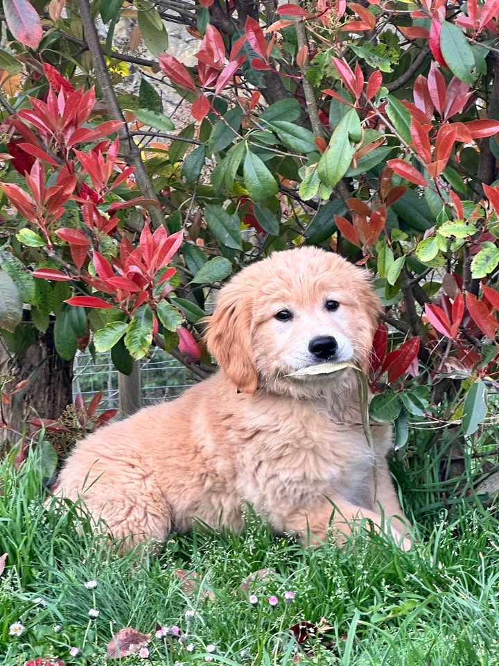 Quando uno e’ bello… e’ bello e non si può proprio dire il contrario❤️