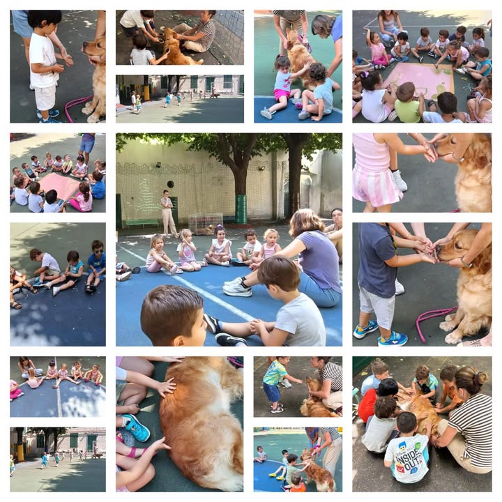 Novità da Truelovedogs – 8 Luglio 2026