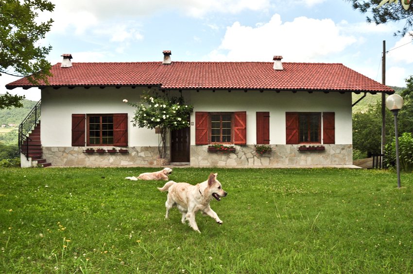 La casa nel bosco di Truelovedogs a Cassinelle