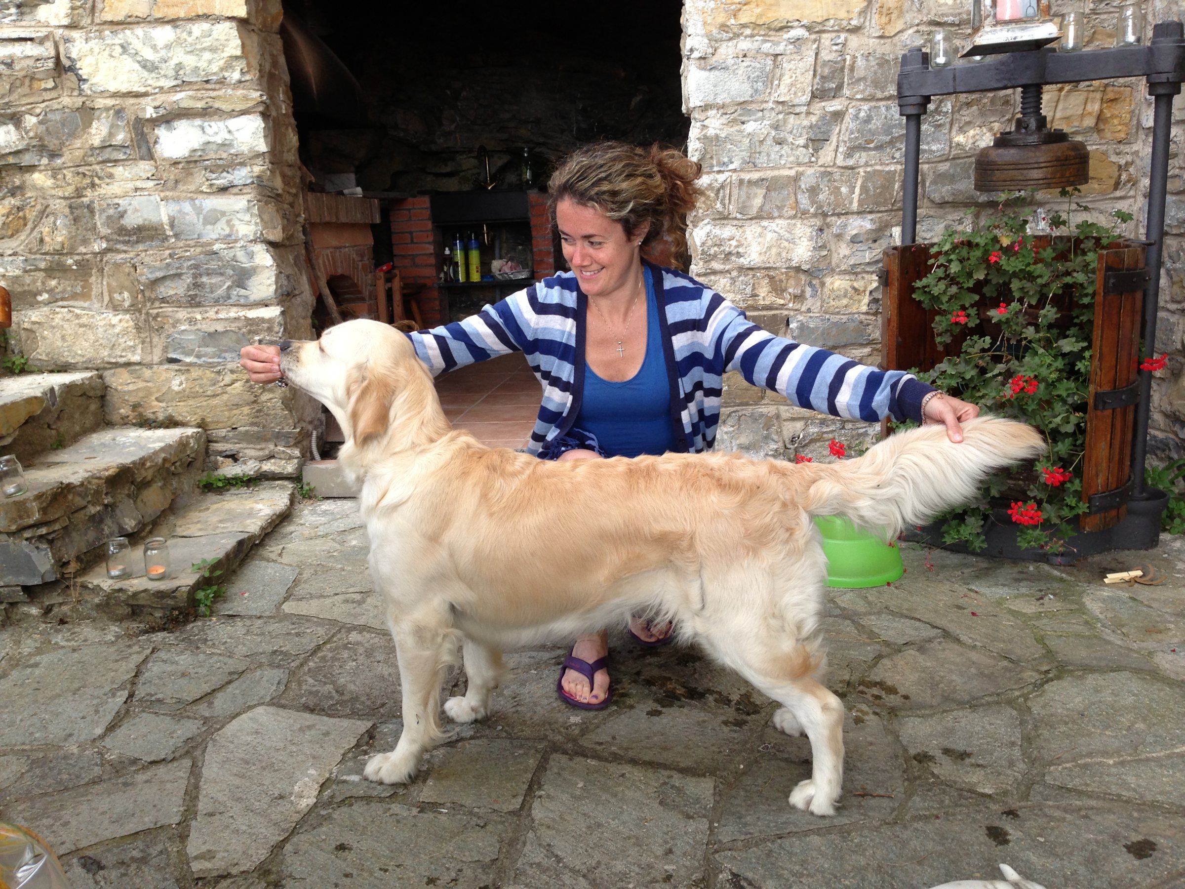 Pepsi, Golden Retriever femmina